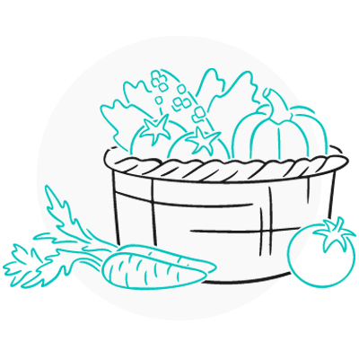 本日の収穫便り